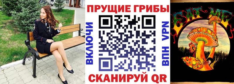 нарко площадка телеграм  Малая Вишера  Галлюциногенные грибы прущие грибы  купить наркотик 